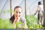 Quels aliments bio acheter en priorité ? Quels aliments bio acheter en priorité ?