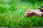 4 bonnes raisons de préférer le bio pour ses enfants 4 bonnes raisons de préférer le bio pour ses enfants