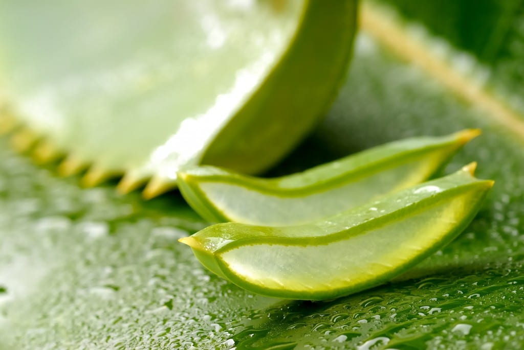 gel aloe vera