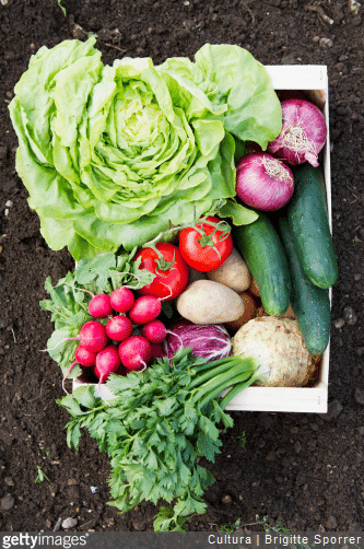 Commencez par planter des légumes et des herbes aromatiques faciles d'entretien.