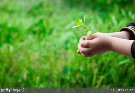 4 bonnes raisons de préférer le bio pour ses enfants