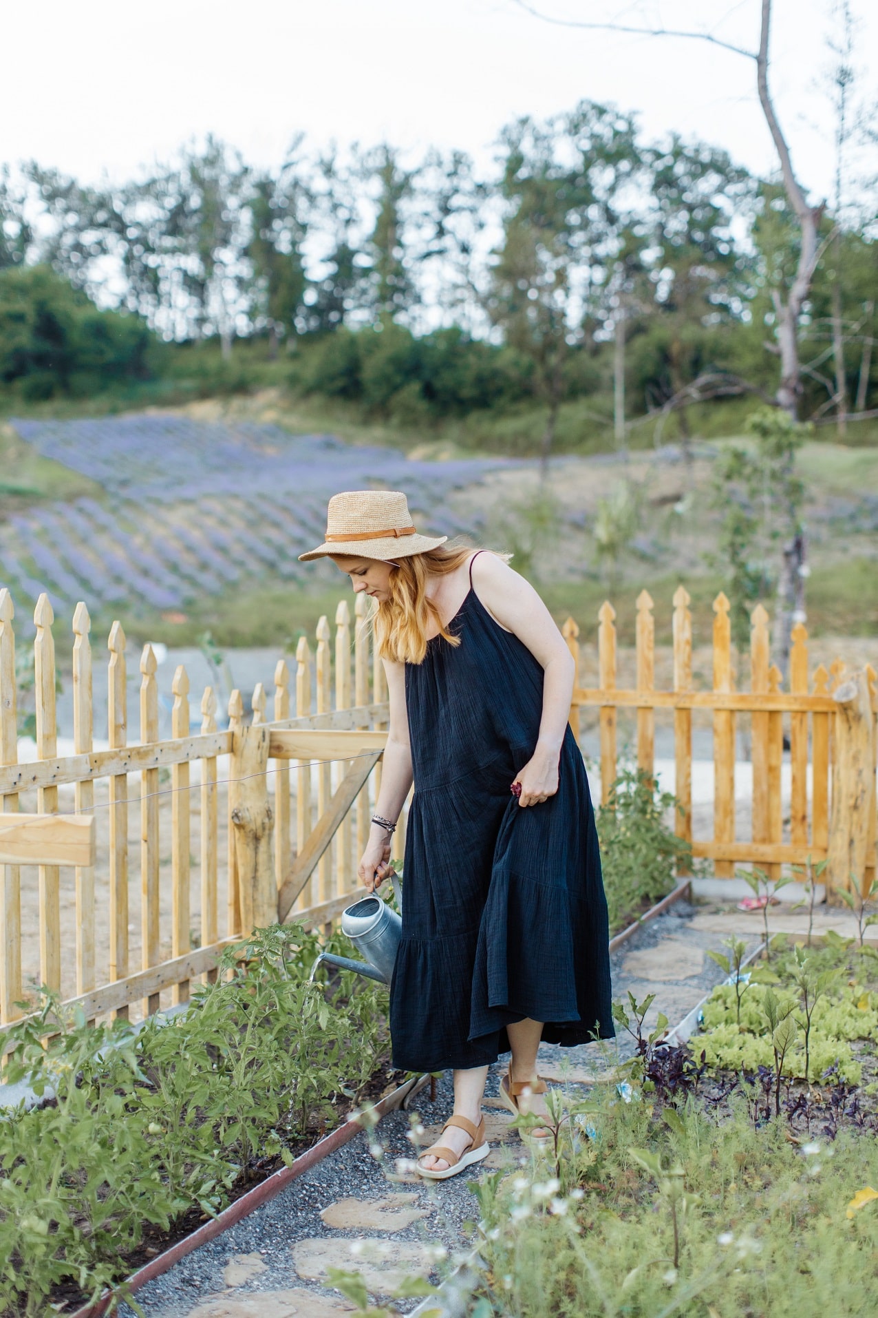 Comment commencer un potager et un verger ?