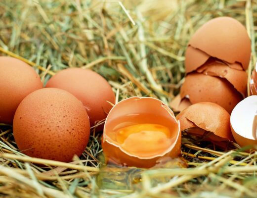 les œufs de catégorie a ont plusieurs caractéristiques lesquelles