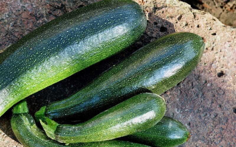 comment congeler des courgettes