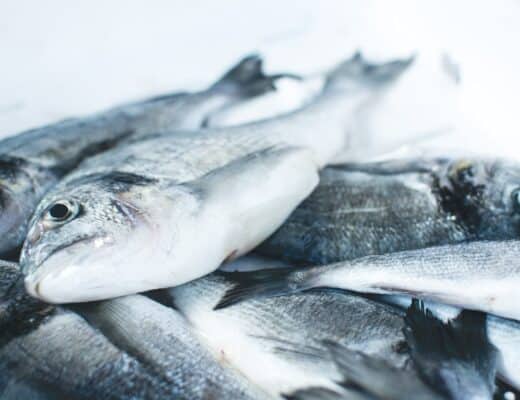 poisson sur glace